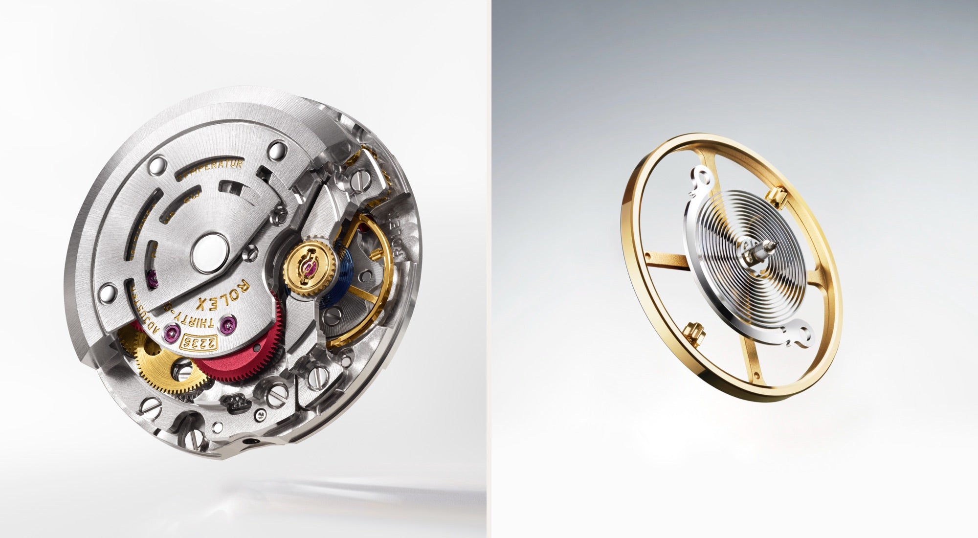 rolex lady datejust watches - deacons jewellers