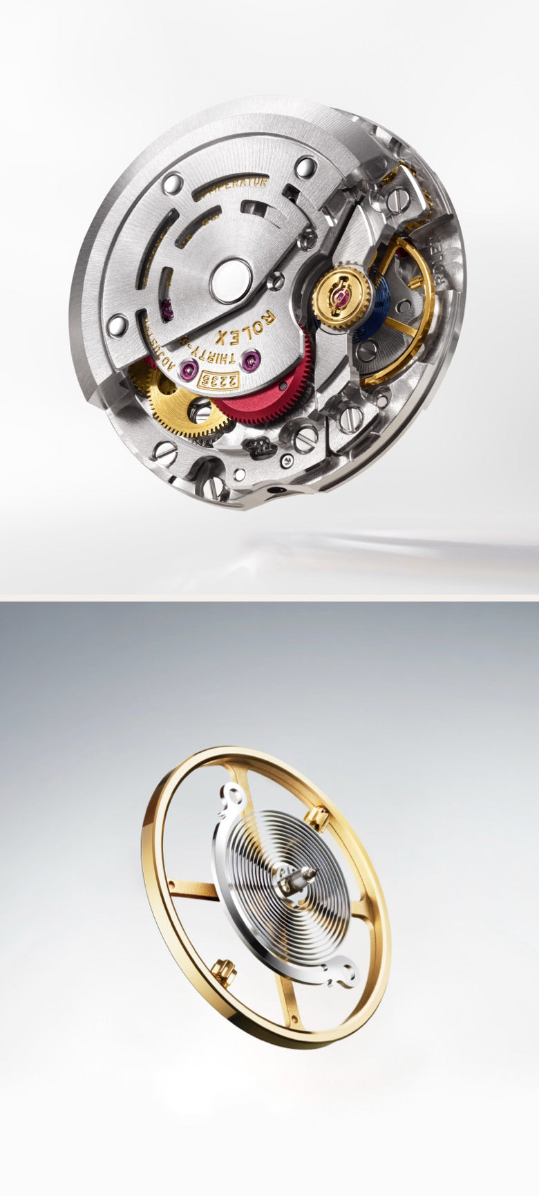 rolex lady datejust watches - deacons jewellers
