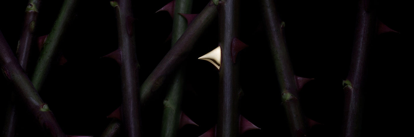 Rose Thorn - Shaun Leane