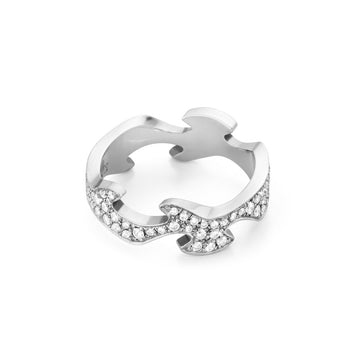 Fusion Centre Ring