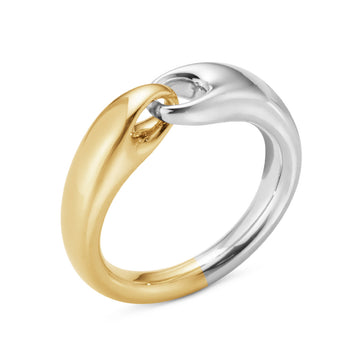 Reflect Small Ring