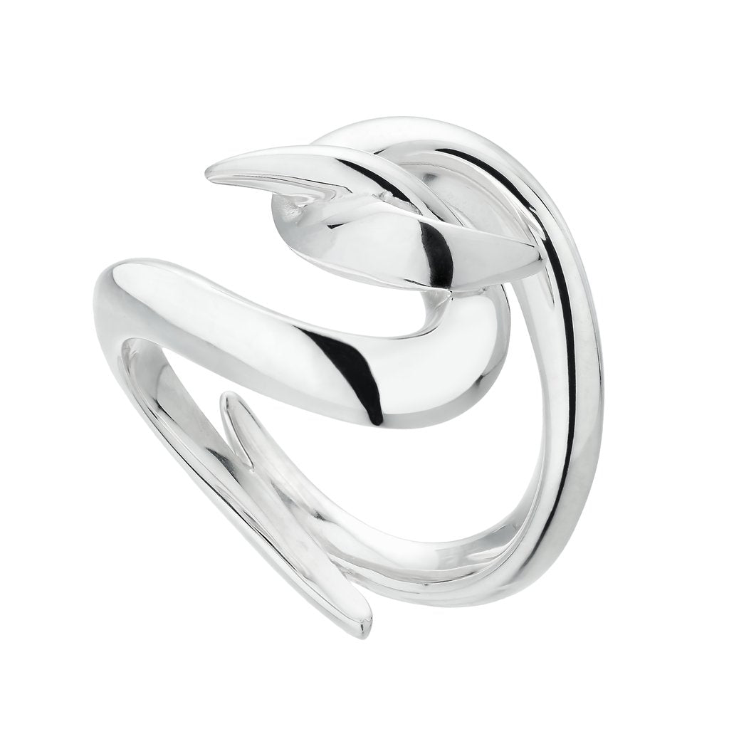 Silver Hook Ring
